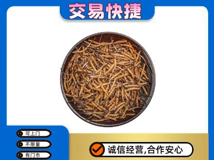 大理州宾川回收散虫草